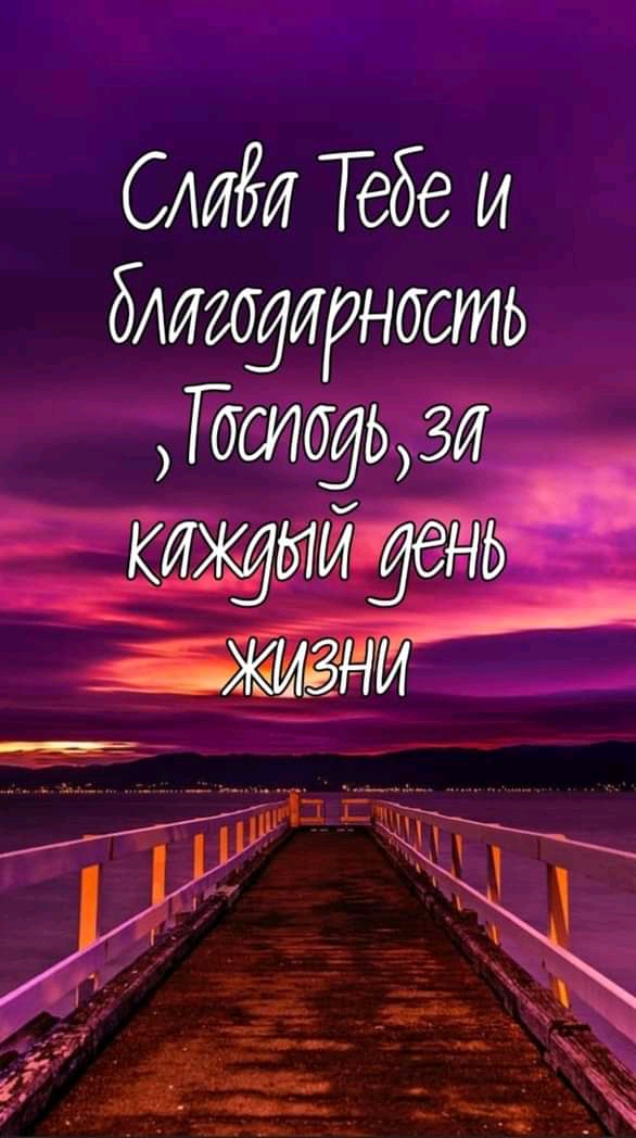 САиёи Тебе и благодарность