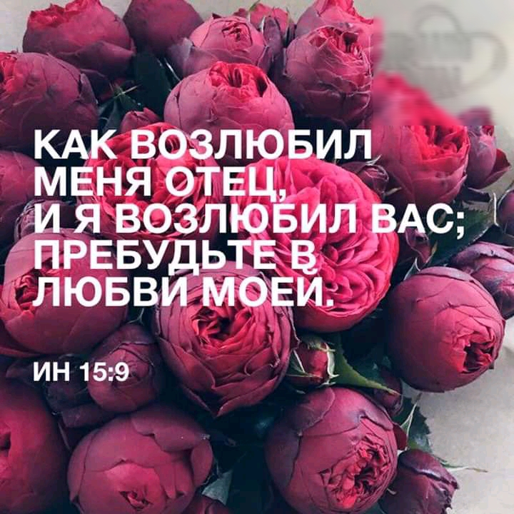 КАК возлювил мвня отец М Я возлюЁил рАс ПРЕБудьтв лювви мови ин 159 Ё