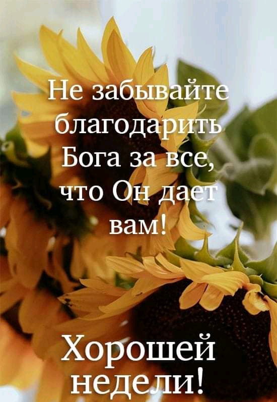 Не забыв йт благодарц Бога за все что Он да _ вам _ Хорошей _ цедеди