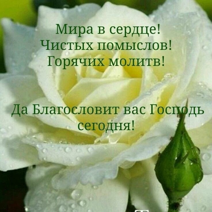 _ Мира в сердце 3 Чистых помыслов Горячих молитв Да Благословит вас Гос сегодня