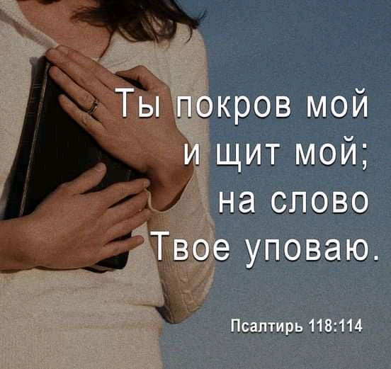 кров мой щит мой 5 на слово дуповаю _ пдддтирьивът14