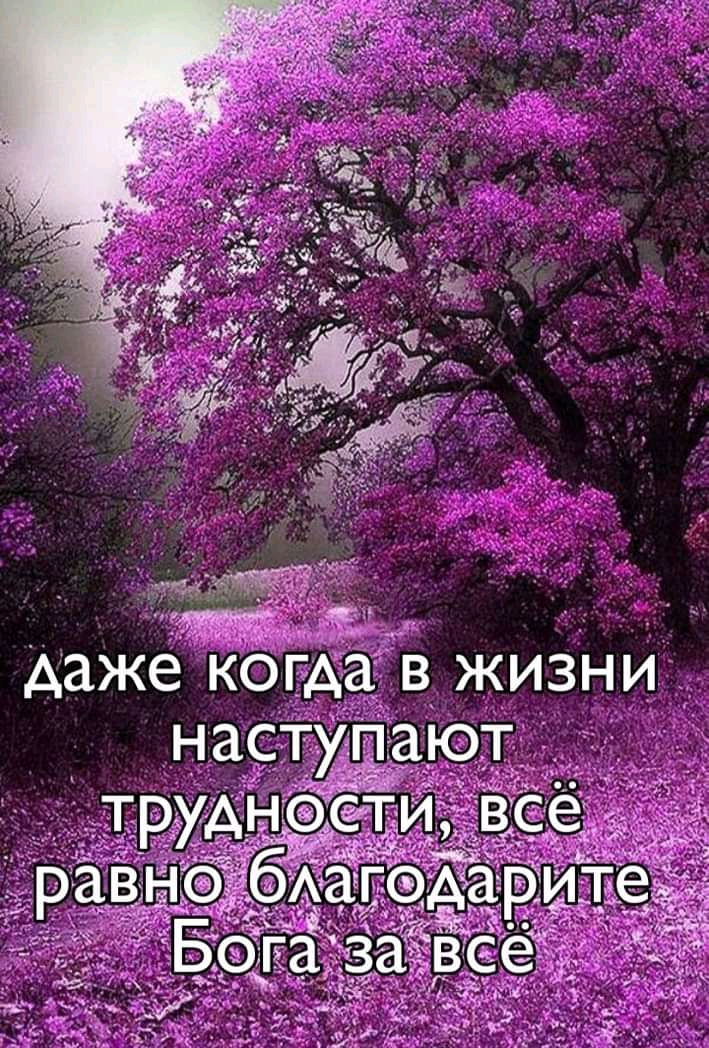 жизни ЮТУ 1