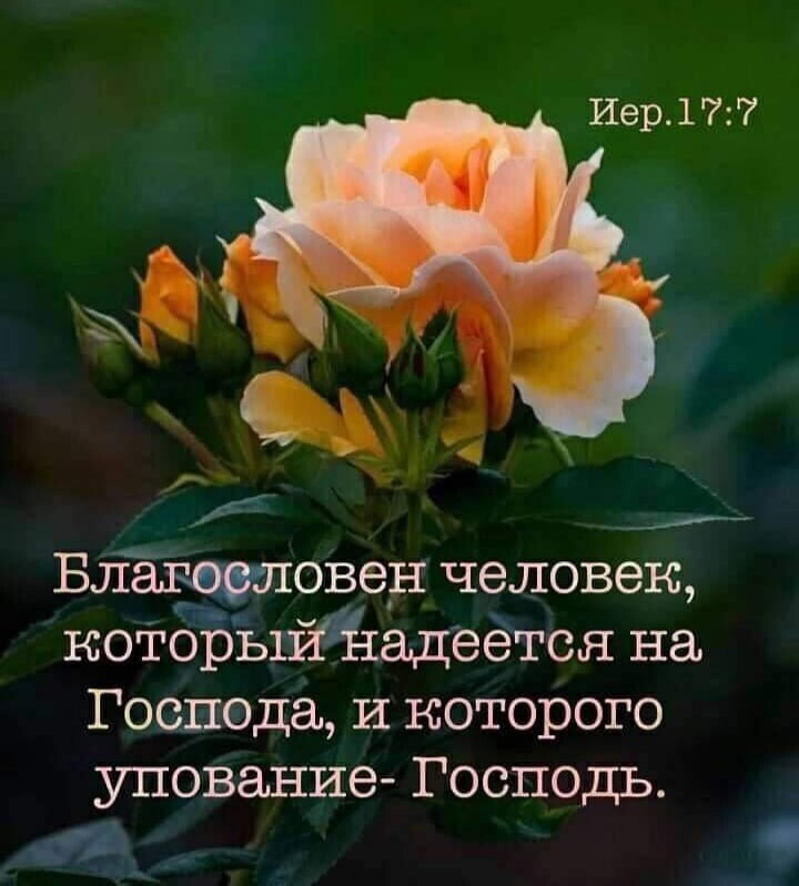 Благщшовен человек коіОрьШЁадеётся на Господа и которого упование Господь 41 _