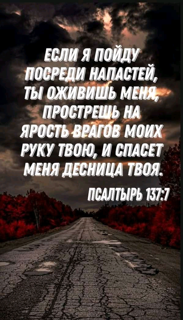 тилиМШ житии 51 мщ __ мшмюмцлтл