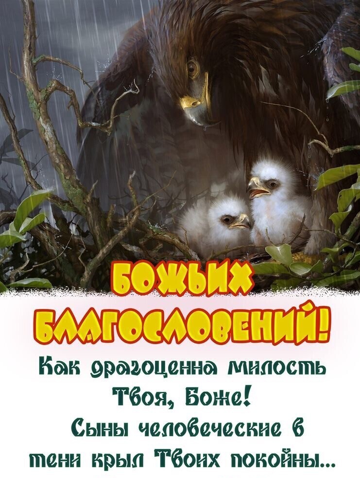 Нам эразоцвнна милость Тбоя Боже Сыны чсаобсческис 6 тонн крыл Тбоих поиойны