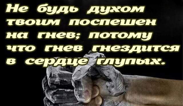 Не будь духом твоим поспешен на гнев потому что гнев гнезда га в сердце глупых