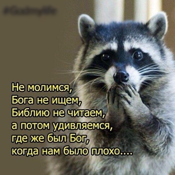 Не молимся Бога не ищеМ Библию нёчитаеМд а потом удивляемся когда нём бЁшо пі10хо