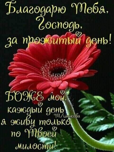Ъаавеёарю чтеба