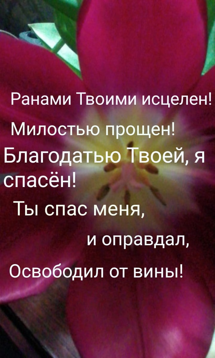 Ранами Твоими исцелен спасён Ты спас меня и оправдал Освободил от вины ч