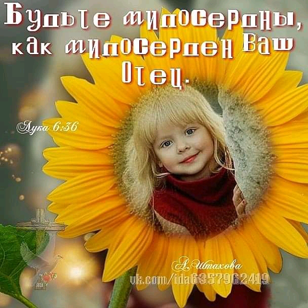 і 79 1 и тпттіаубё 33241