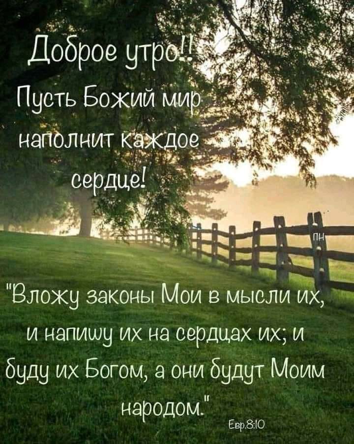 Влоху законы Мои мысли их и напишу их на сердцах их и буду их Богом а они будут Моим народом Евр80