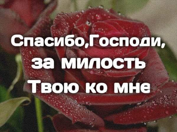 СпасибоГосподи за мипОсть Тврю _ко мне