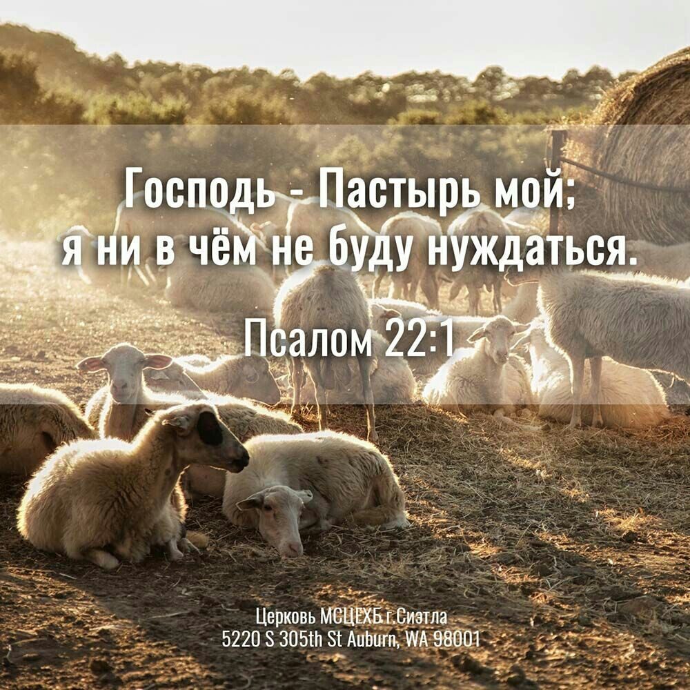 Церковь МЁЦЁЁтизтлад и _ 52208305Н8іАиЬпггъ 980015