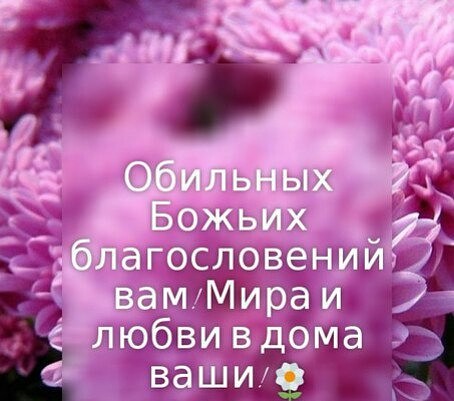 в иЁдма ватто