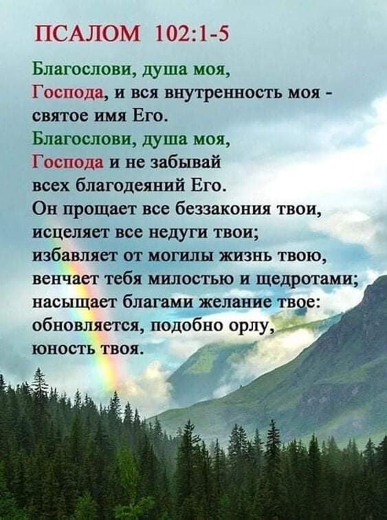 ПСАЛОМ 102 1 5 Благослови душа моя Господа и вся внутренность моя святое имя Его Благослови щша моя Господа и не забывай всех благодеяний Его Ои прощает все беззакония твои исцеляет исе недуги ТВОИ избавляет от могилы жизнь твою венчает тебя милостью и щедротами насыщает благами желание твое обновляется подобно ордуЗчг ЮНОСТЬ ТВОЯ