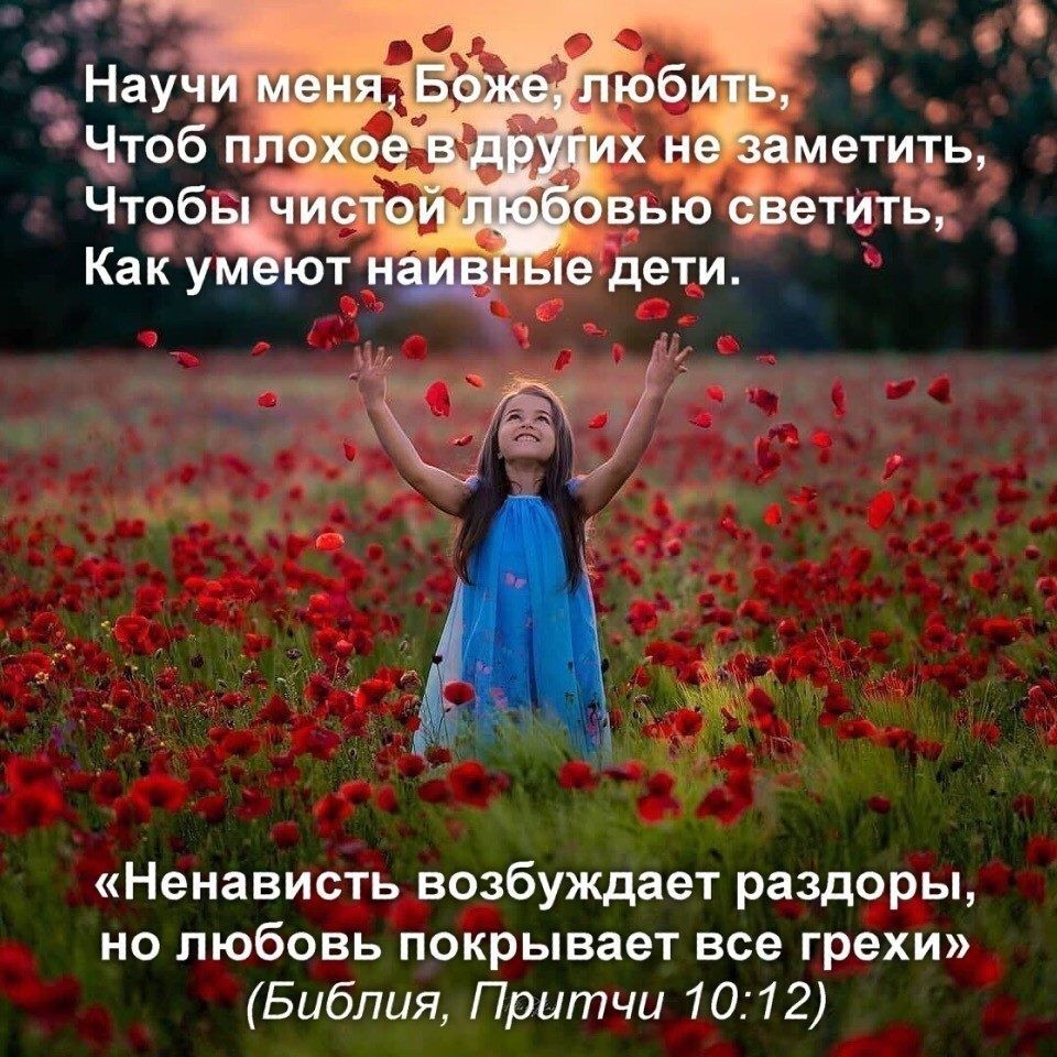Нау цтоб п метить Чтоб дветИть Ненависть возбуждает раздоры но любовь покрывает все грехи Библия Притчи 1012
