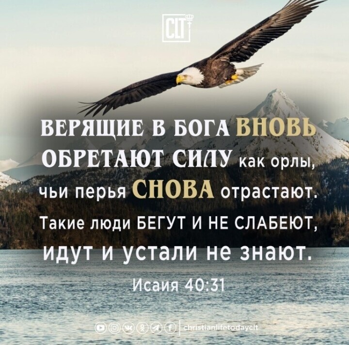 _ вгящив в БОГА внов ОБРЕТАЮТ СИЛУ как орлы чьи перья СНОВА отрастают Такие люди БЕГУТ И НЕ СЛАБЕЮТ идут и устали не наю