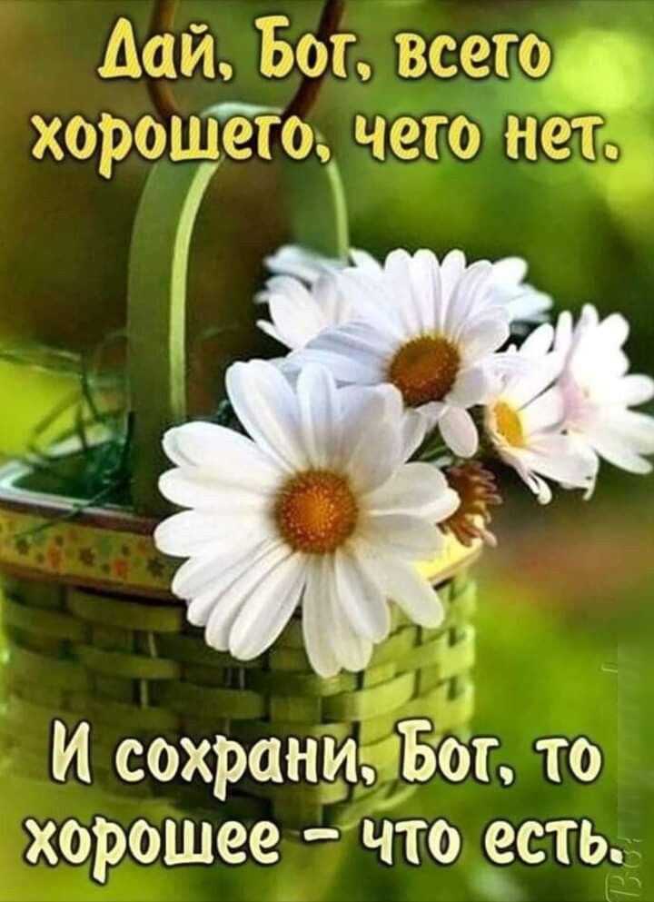 И сохрани Бог то хорошее что есть