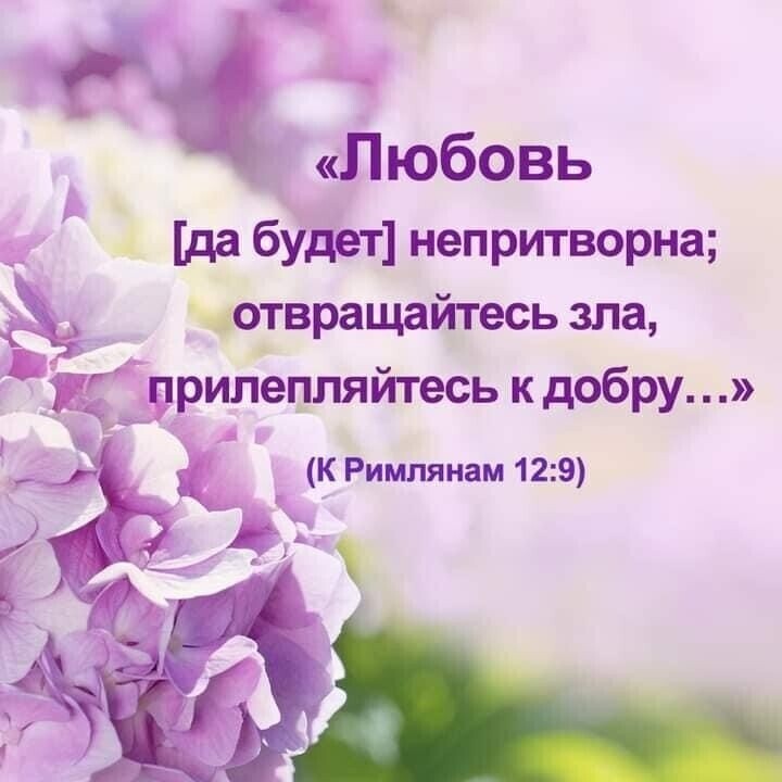 ч Любовь да будет непритворна 95 чотвращайтесь зла Римлянам 129