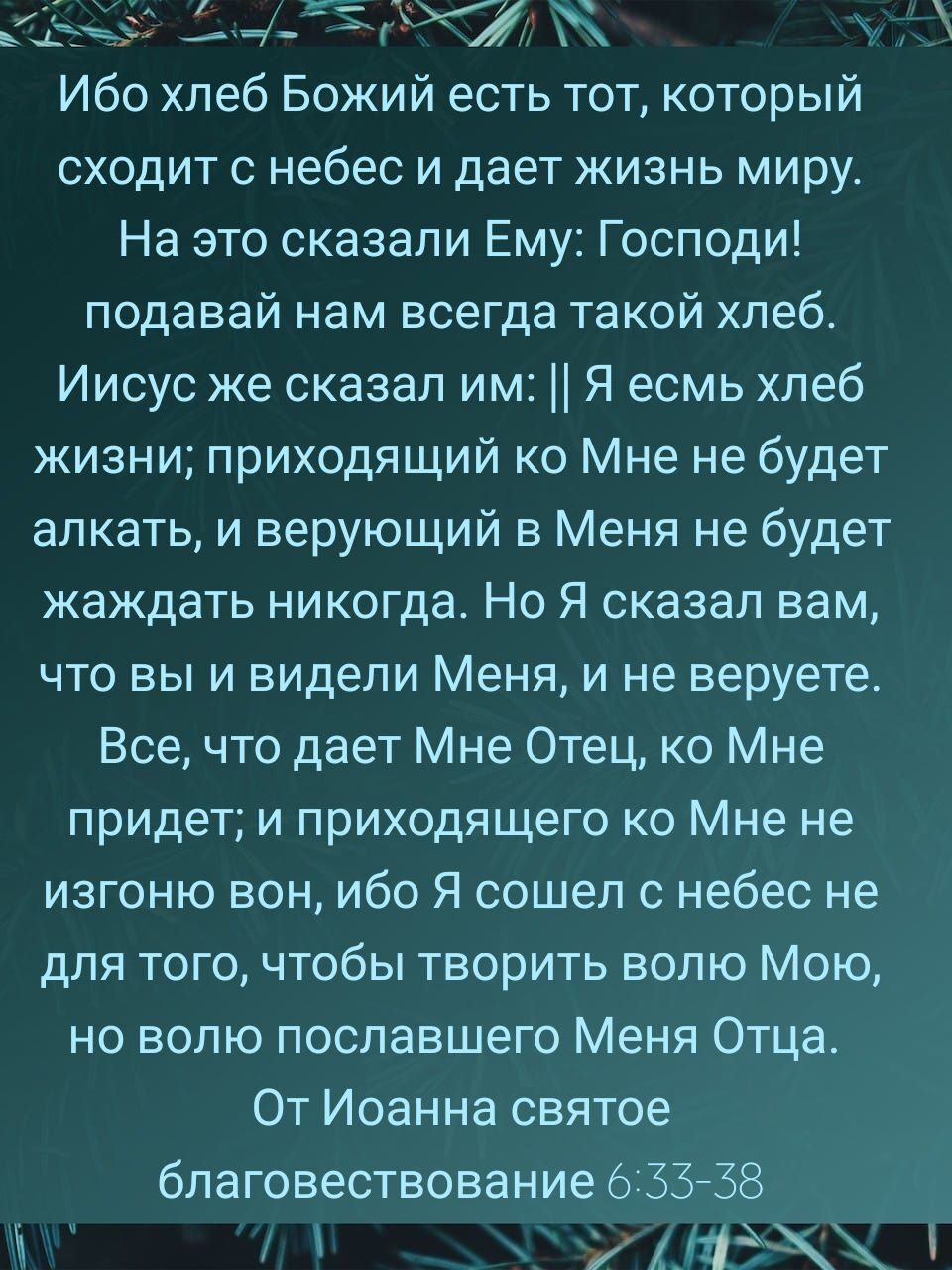 4 щим Ибо хлеб Божий есть тот который сходит с небес и дает жизнь миру На это сказали Ему Господи подавай нам всегда такой хлеб Иисус же сказал им Я есмь хлеб жизни приходящий ко Мне не будет алкать и верующий в Меня не будет жаждать никогда Но Я сказал вам что вы и видели Меня и не веруете Все что дает Мне Отец ко Мне придет и приходящего ко Мне не изгоню вон ибо Я сошел с небес не для того чтобы