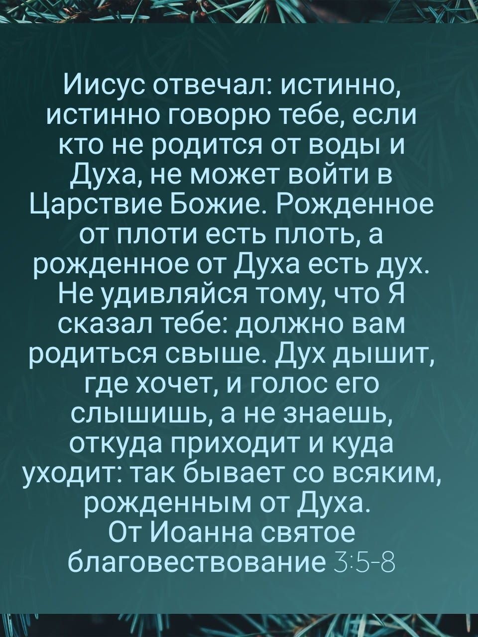 ъіу Дт Иисус отвечал истинно истинно говорю тебе если кто не родится от воды и Духа не может войти в Царствие Божие Рожденное от плоти есть плоть а рожденное от Духа есть дух Не удивляйся тому что Я сказал тебе должно вам родиться свыше Дух дышит где хочет и голос его слышишь а не знаешь откуда приходит и куда уходит так бывает со всяким рожденным от Духа От Иоанна святое благовествование 558 1_1