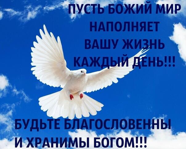 пусть БОЖИЙ мир ндполнявт вдшу жщнь цждьмдвньт дііж БудьтЕБЛАЪословвнны и хрднимы вогоми