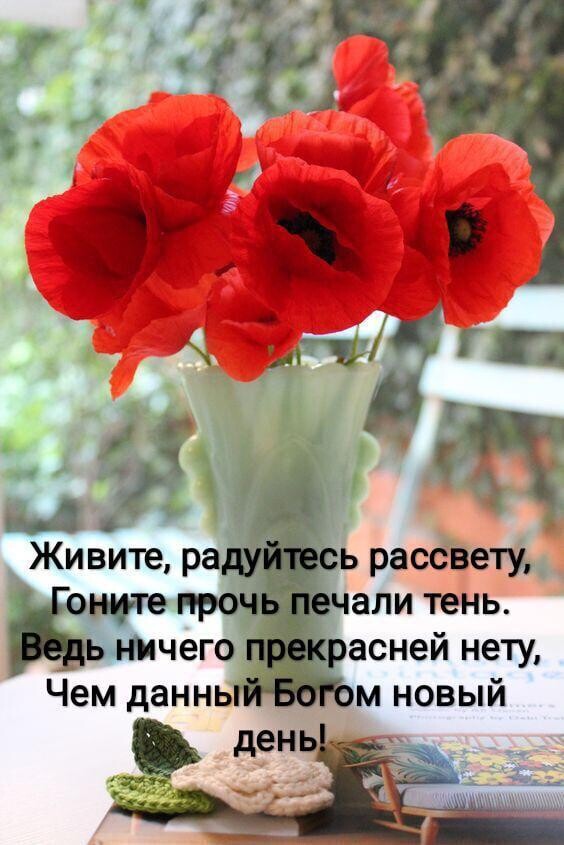 Живите радуйтесь рассвету сите прочь печали тень дь ничего прекрасней нету Чем данныйчБЫбм новый в день