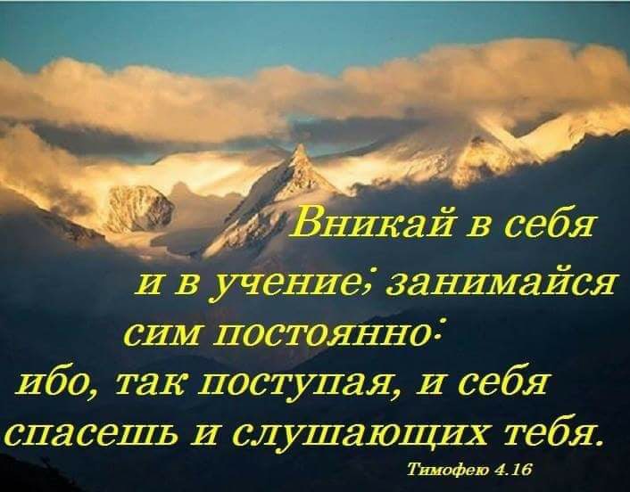 И В учеНИе занимайся СИМ постоянно Ибо так поступая И себя сласеШЬ И слушаЮЩИХ тебя Тяиафев 41 в