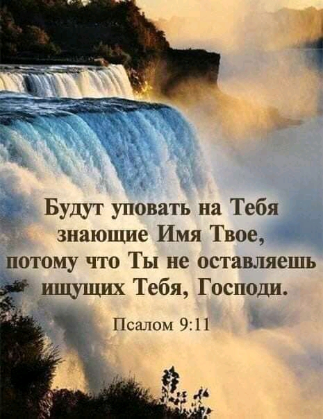 Будут уповать на Тебя знающие Имя Твое потому что Ты не оставляешь ищущих Тебя Господи Псалом 911 ш