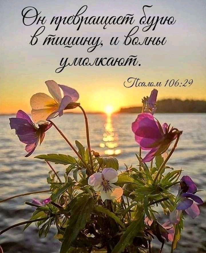 Тн 0 . , щ слсалом 06:29