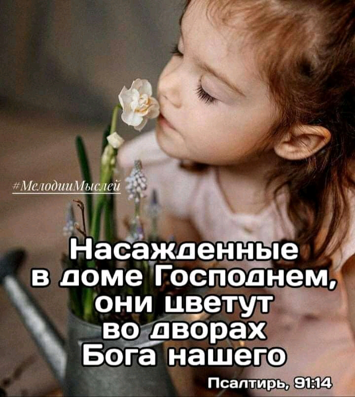 НасЁждецные в доме Господнем они цветут вворах Б9га нашего
