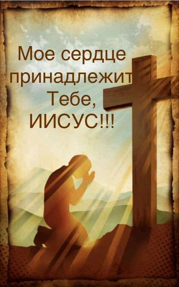 Мое сердце принадлежи