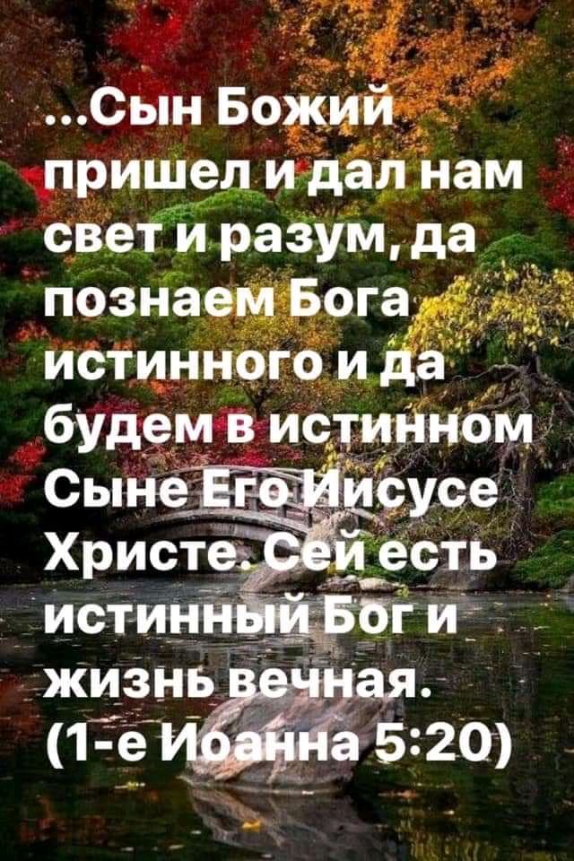 Свпн БЁЁД тришдёинам бвеіи ріа3ум да