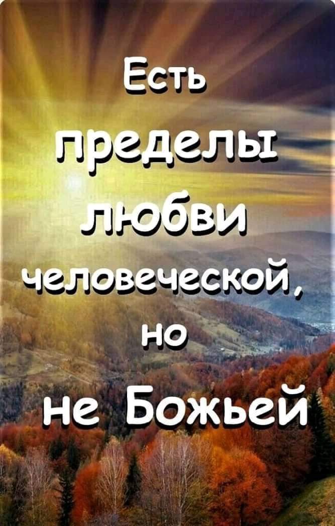Не божьей тачр