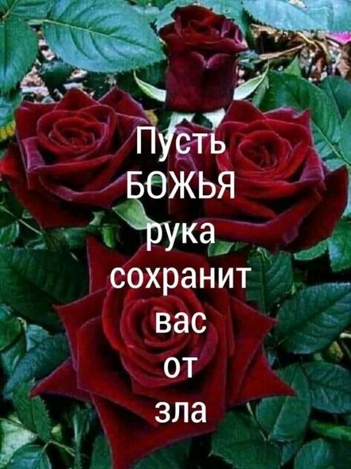 Г Г Ка сохранит Ёдр_ вас