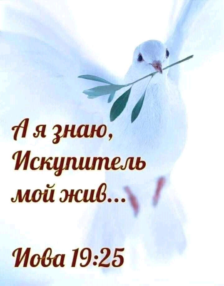 Иода 1925