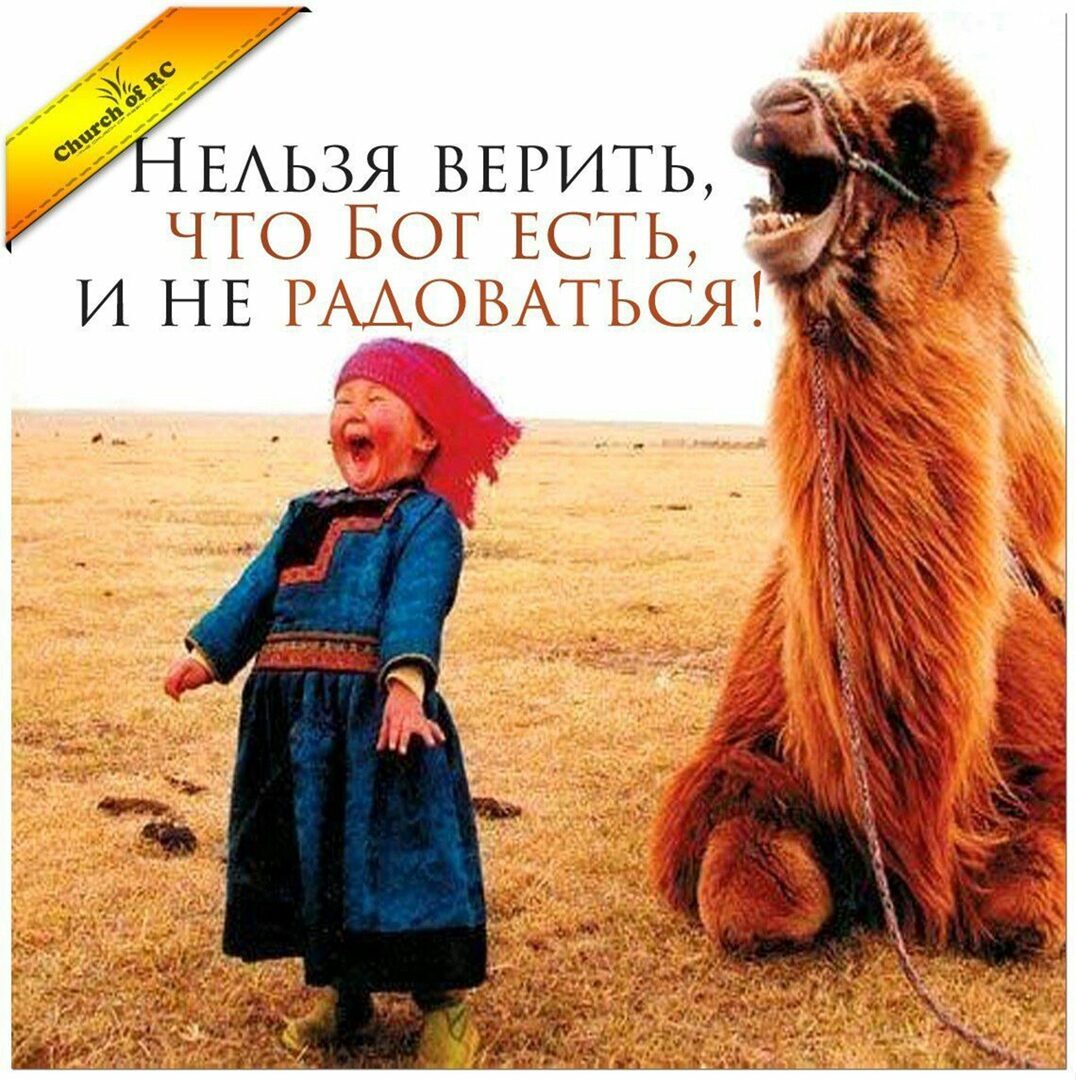 Ельзя верить, чг  иаа ощ ир ч    11 шыь ь,  ,  и не радоваться!