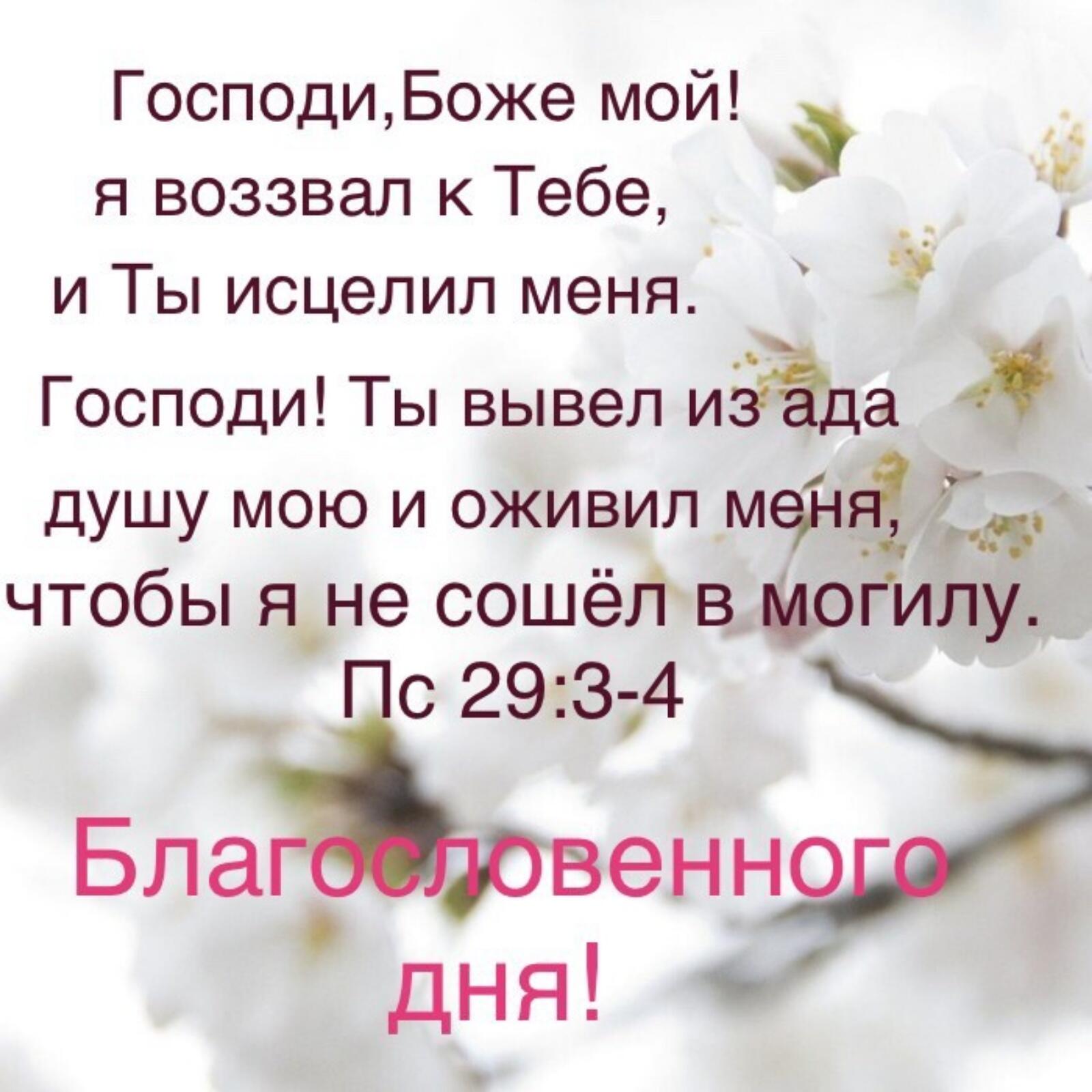 ГосподиБоже мой 8 я воззвал к Тебе __ и Ты исцелил меня Господи Ты вывел иёёда душу мою и оживил мет чтобы я не сошёл в цогипу 0 293 Бла венно дня г