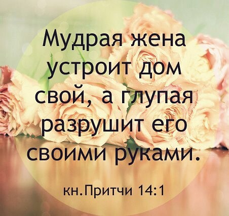 «Мудрая жена устроит дом свой, а глупая разрушит его своими руками» Х.ф. Невестка.