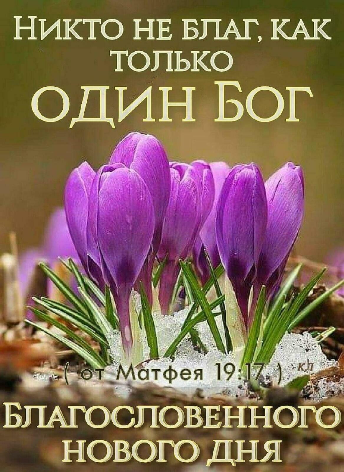 НИКТО НЕ БПАГ КАК ТОЛЬКО ОДИН БОГ БПАГОСПОВЕННОЮ НОВОГО Ш Ш