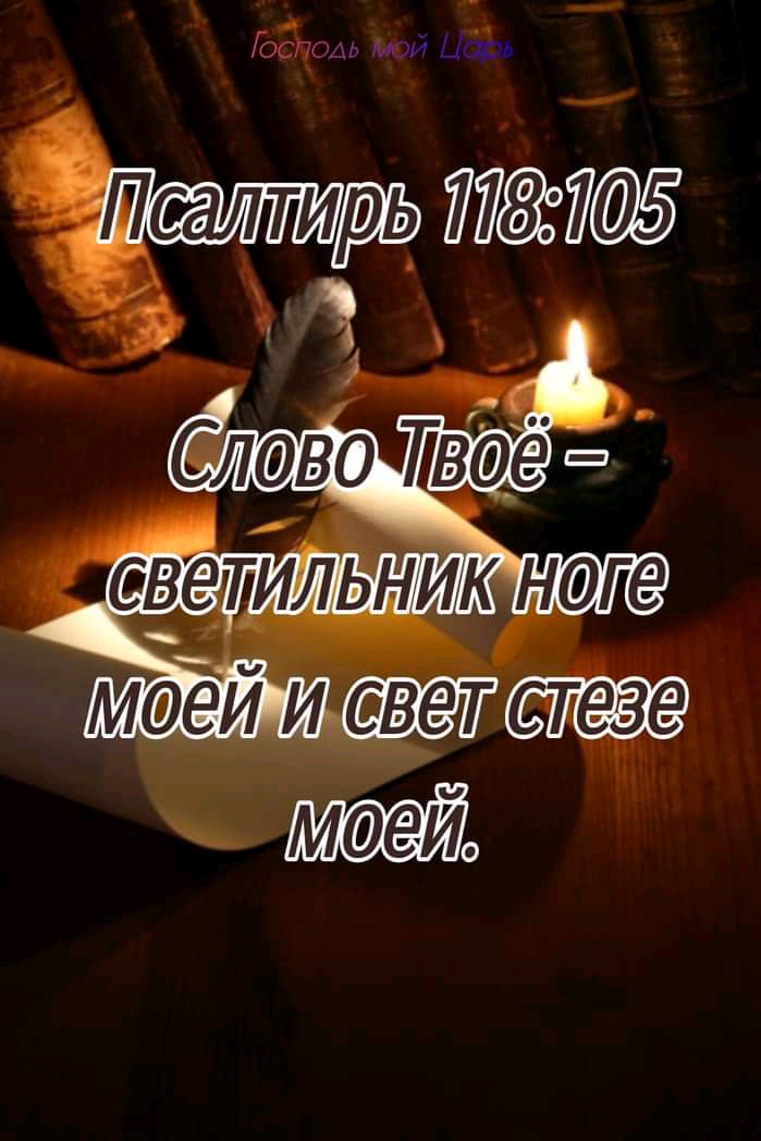_ Гость