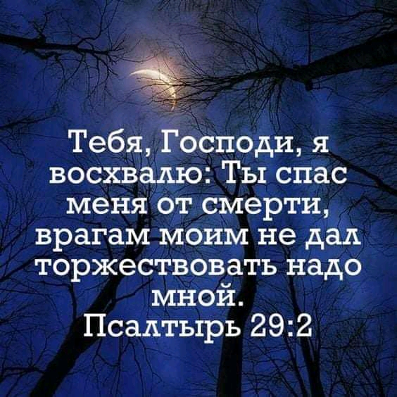 Тебя Господи я восхвадю Ты спас меня от смерти врагам моим не дал торжествовать надо мной Псалтырь 292