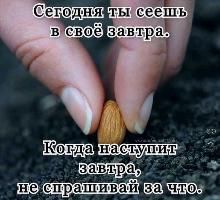 СЭ