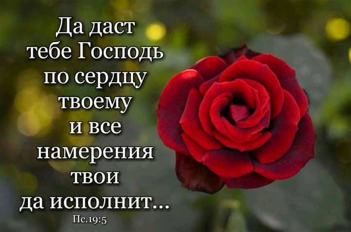 Да даса тебе Господь намерения ТВОИ ДЭ ИСПОЛНИТ Пс_195