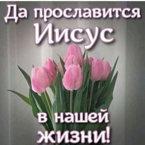 Да 11 давится