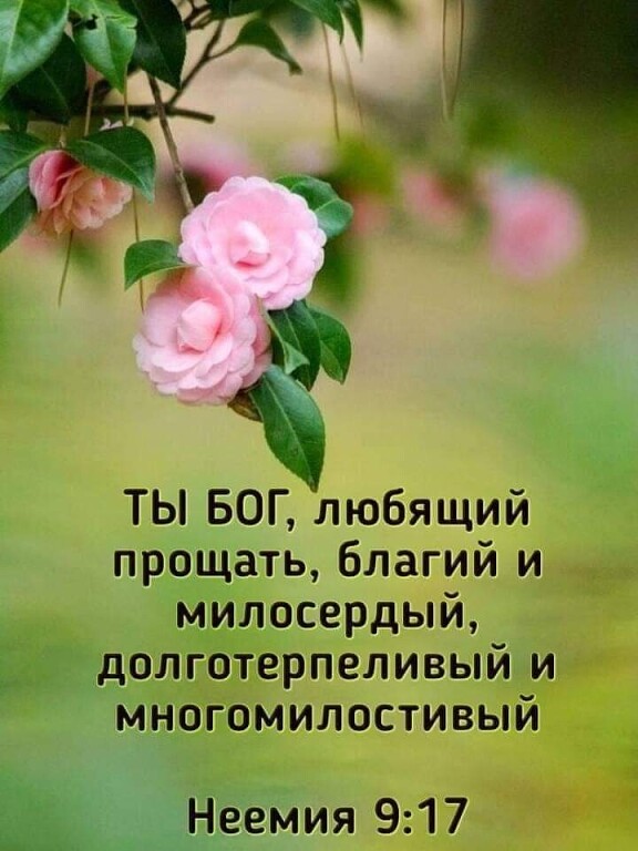 ТЫ БОГ любящий прощать благий и _ милосердый Бітддолготерпеливый и многомилостивый шагамия 917