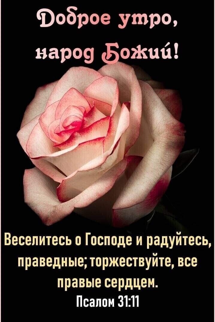 Фоброе утро Весепитесь о Господе и радуйтесь праведные торжествуйте все правые сердцем Псалом 3111
