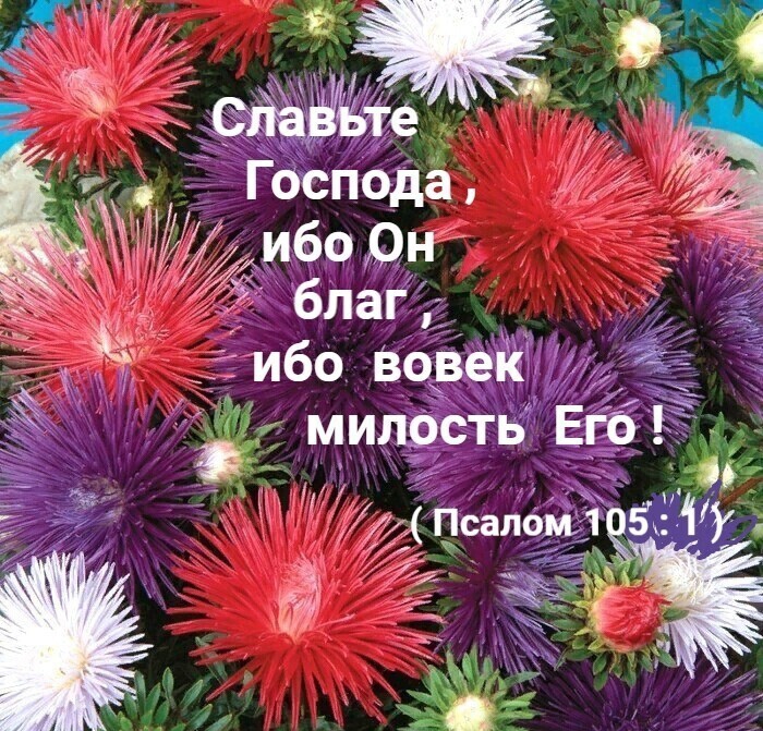 ибо рн благ _ ибо Вове 1 милОсть ЕГТ 44 Псалом1 51