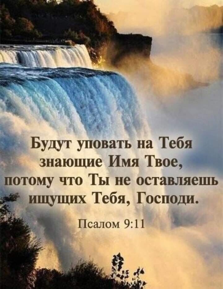 Будут уповать на Тебя знающие Имя Твое потому что Ты не оставляешь ищущих Тебя Господи Псалом 911