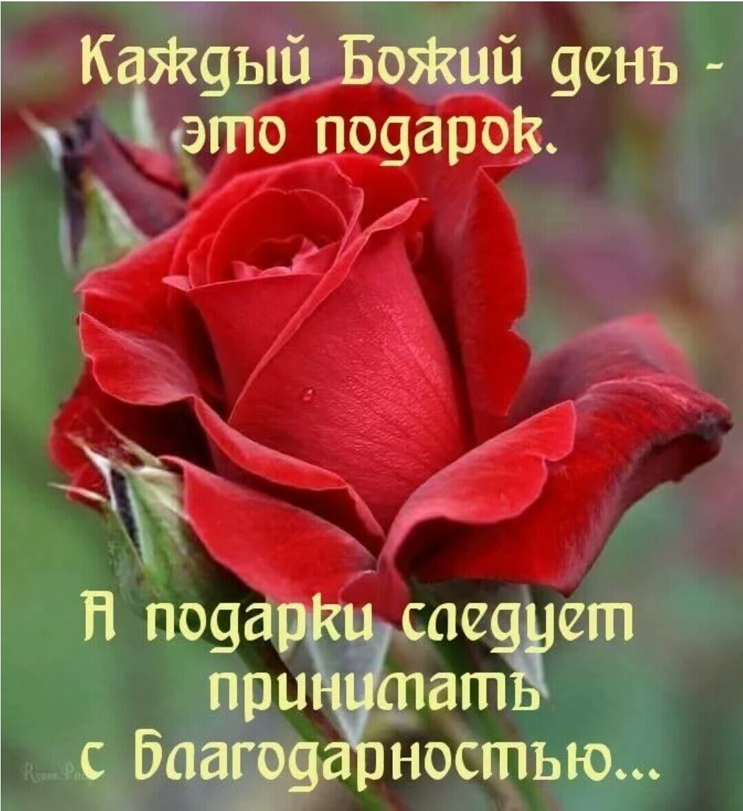 епт при лат с баш ностью